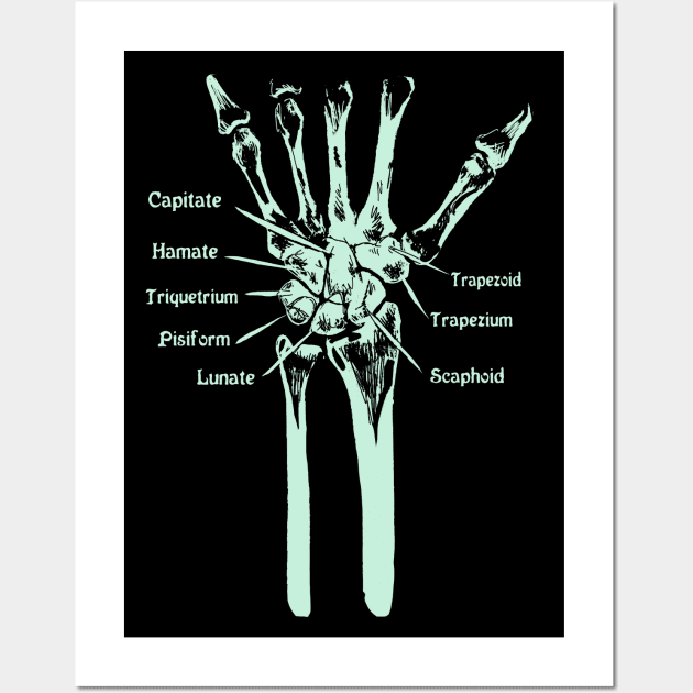 Carpal Bones Wall Art by ckrickett